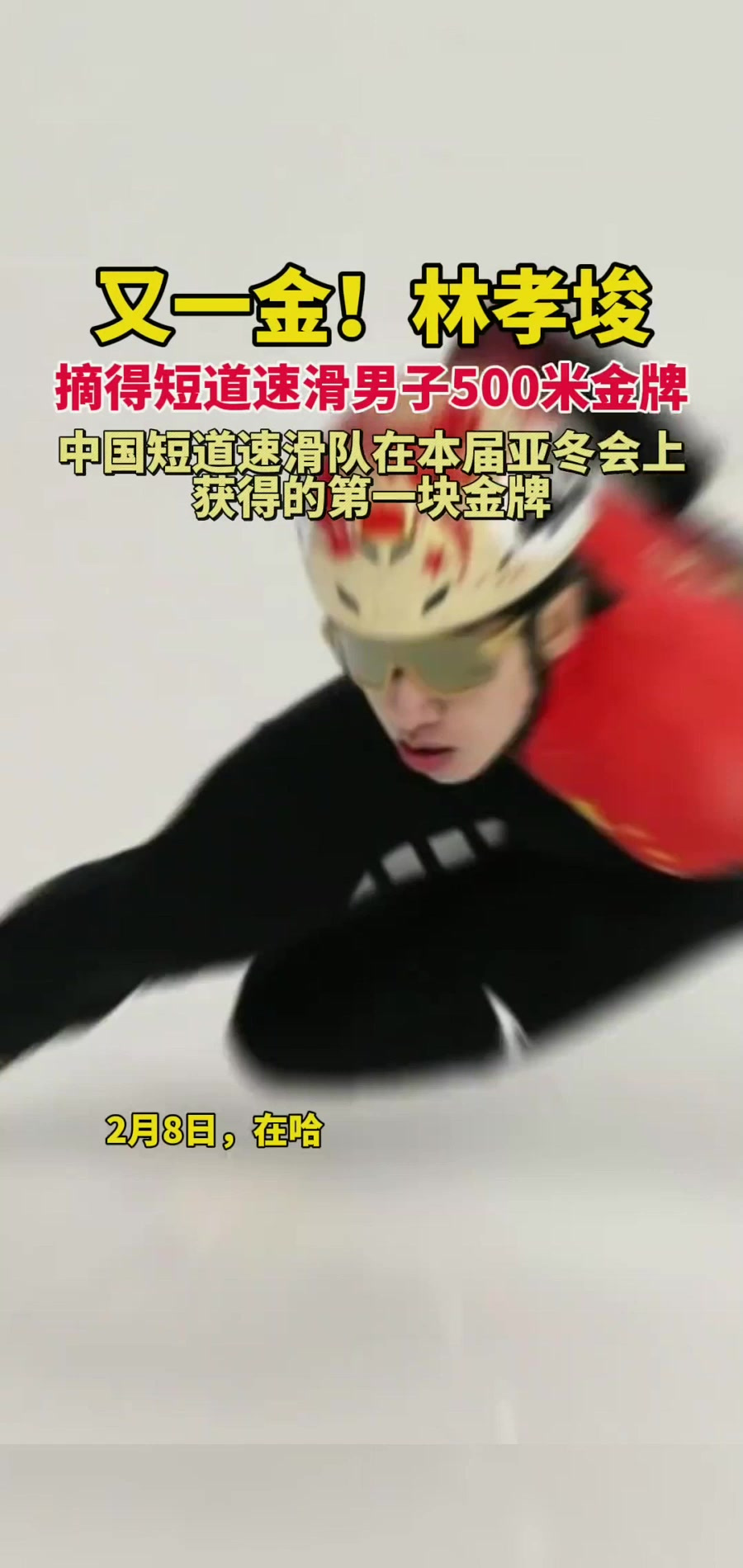 短道速滑男队稳定表现，搏击金牌的简单介绍