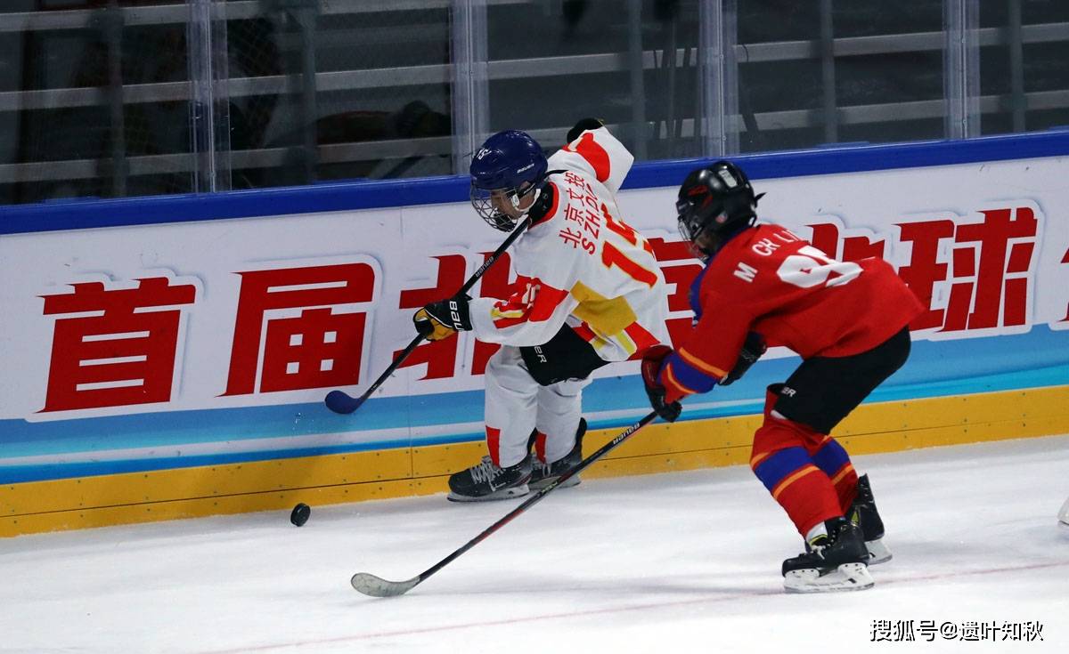 爱游戏下载-冰球赛季收官,冠军榜单揭晓的简单介绍