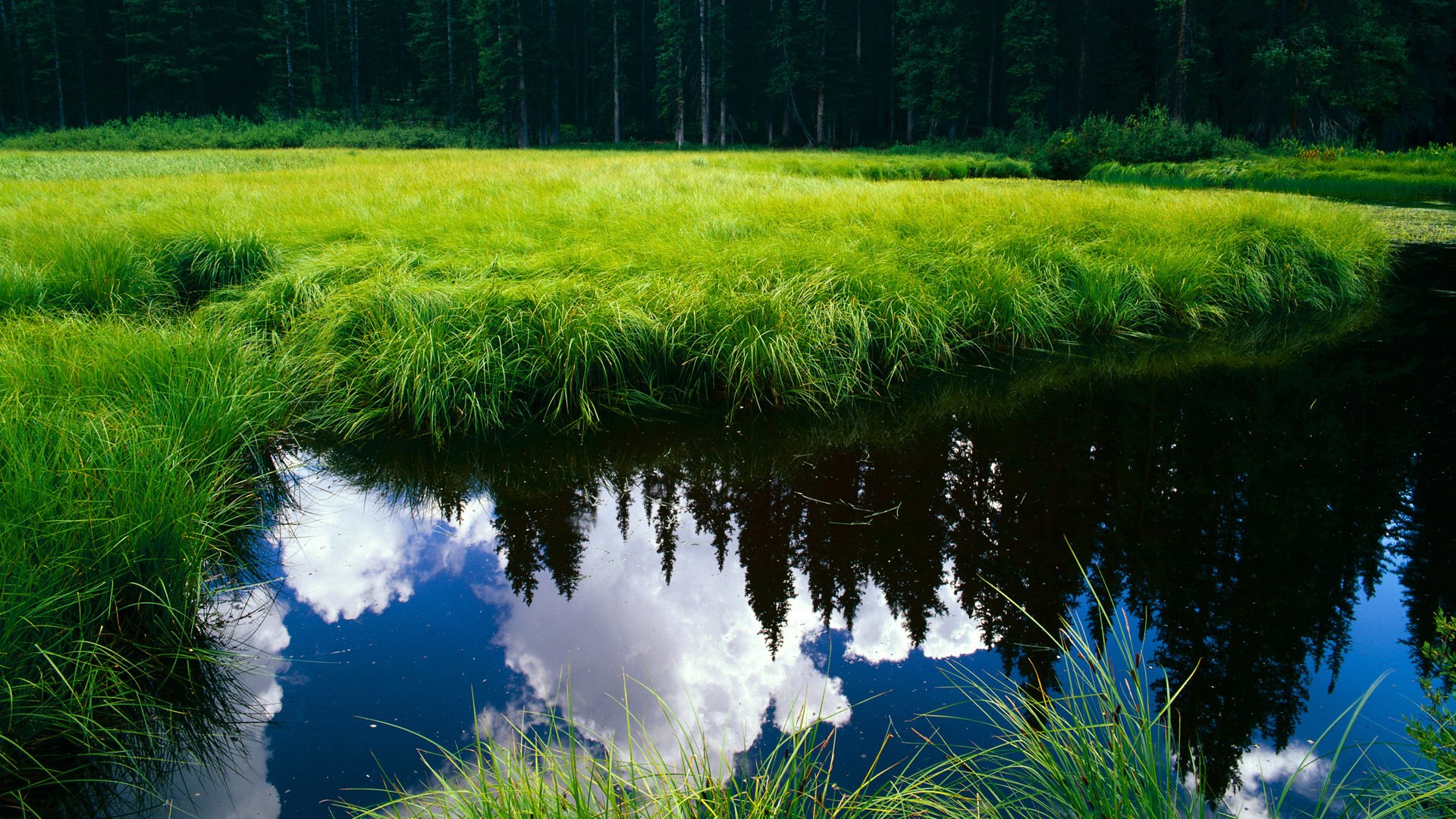 雄鹿西征碾碎灰熊,霍勒迪决胜时刻接管世界排名卡位战